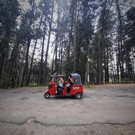 Pine Trees Homestay Nallathanniya Bagian luar foto
