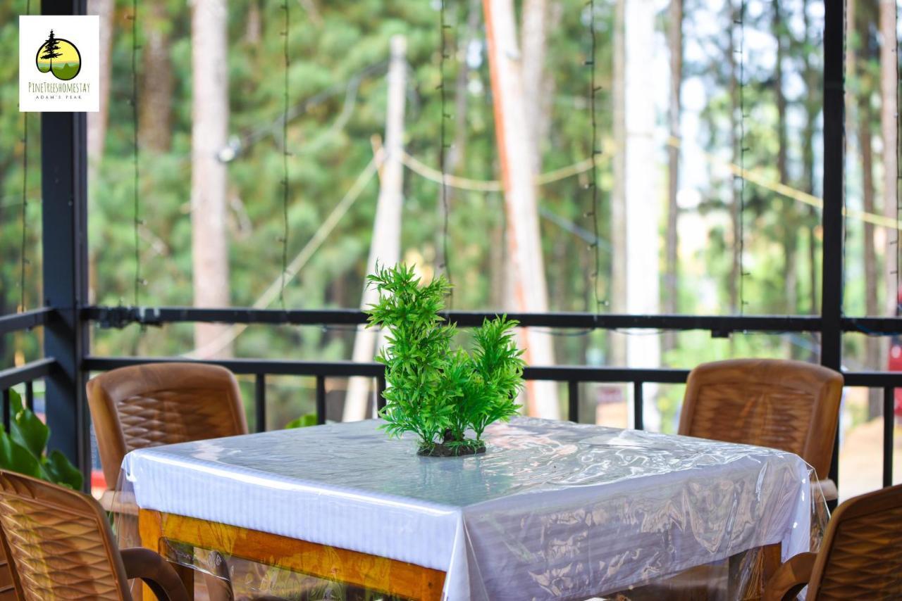 Pine Trees Homestay Nallathanniya Bagian luar foto