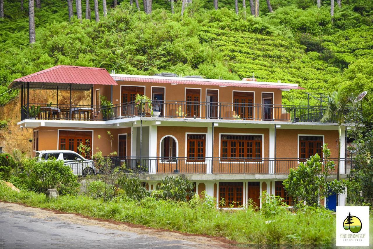 Pine Trees Homestay Nallathanniya Bagian luar foto