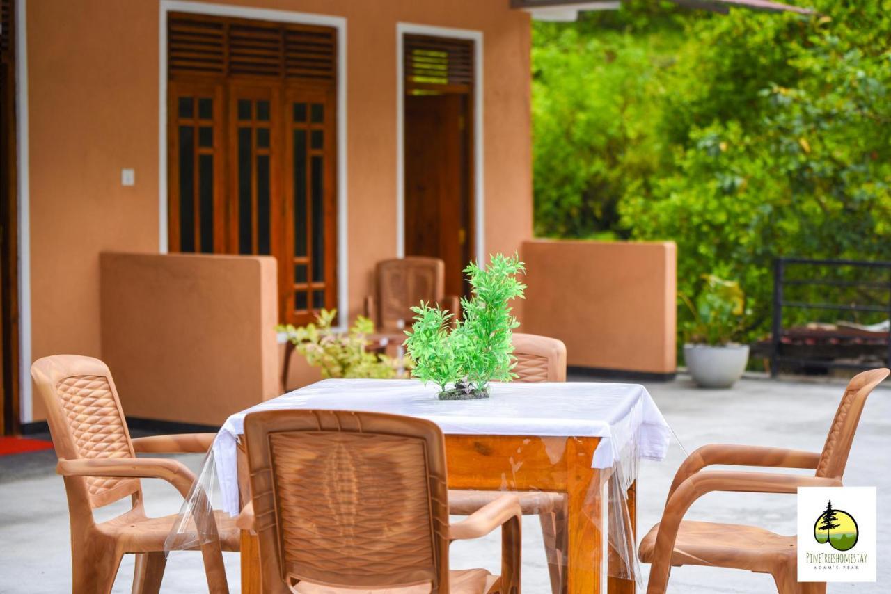 Pine Trees Homestay Nallathanniya Bagian luar foto