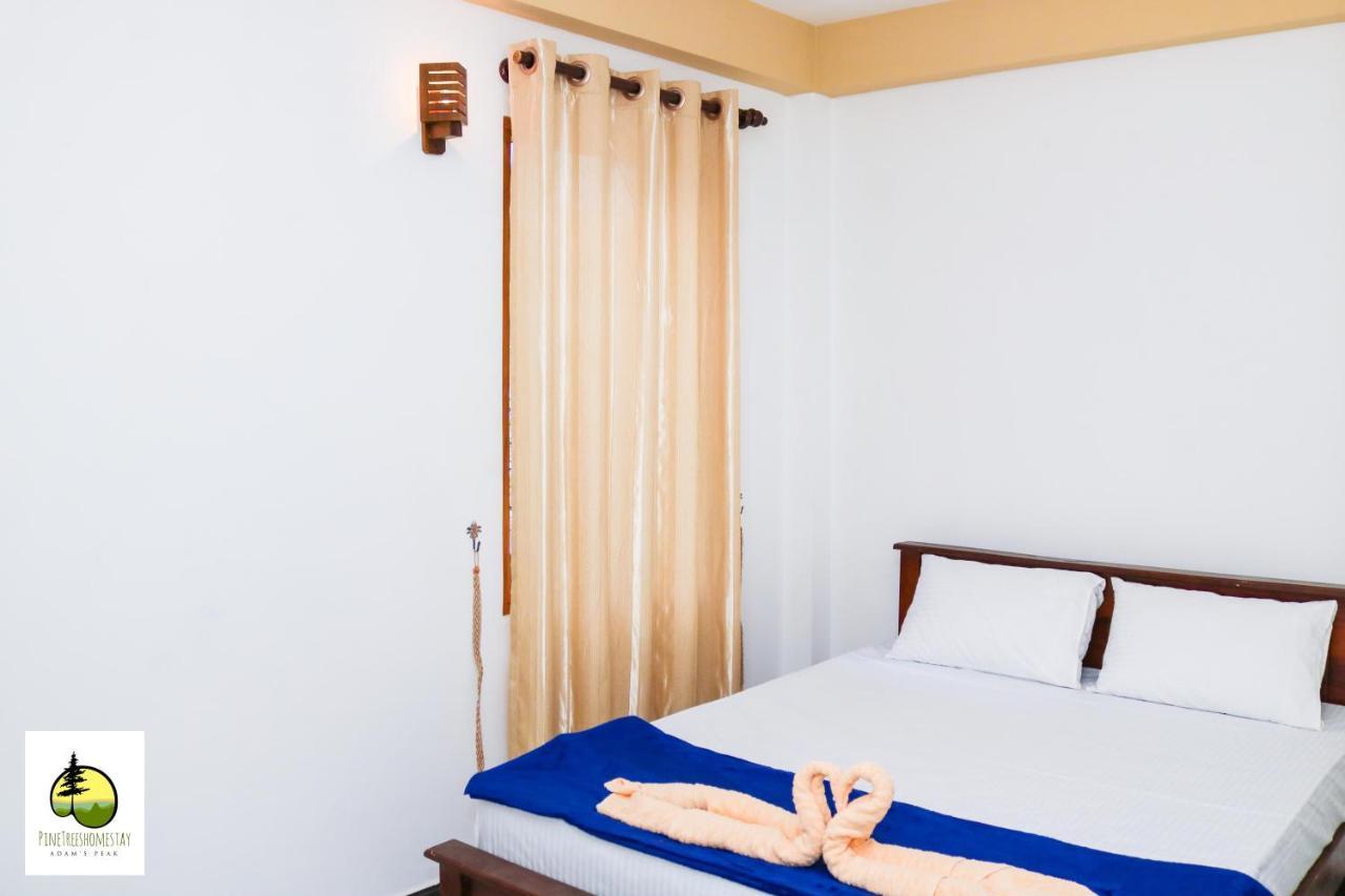 Pine Trees Homestay Nallathanniya Bagian luar foto