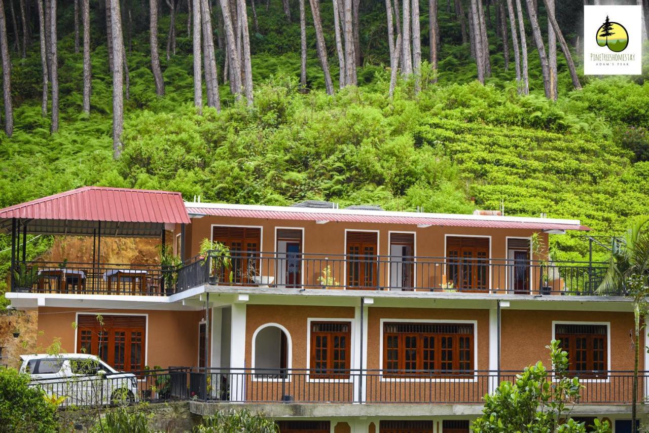 Pine Trees Homestay Nallathanniya Bagian luar foto